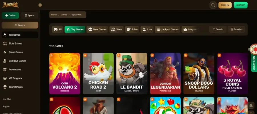 Spielangebot von Amunbet Casino mit über 100 Anbietern